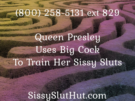 Online Sissy Training